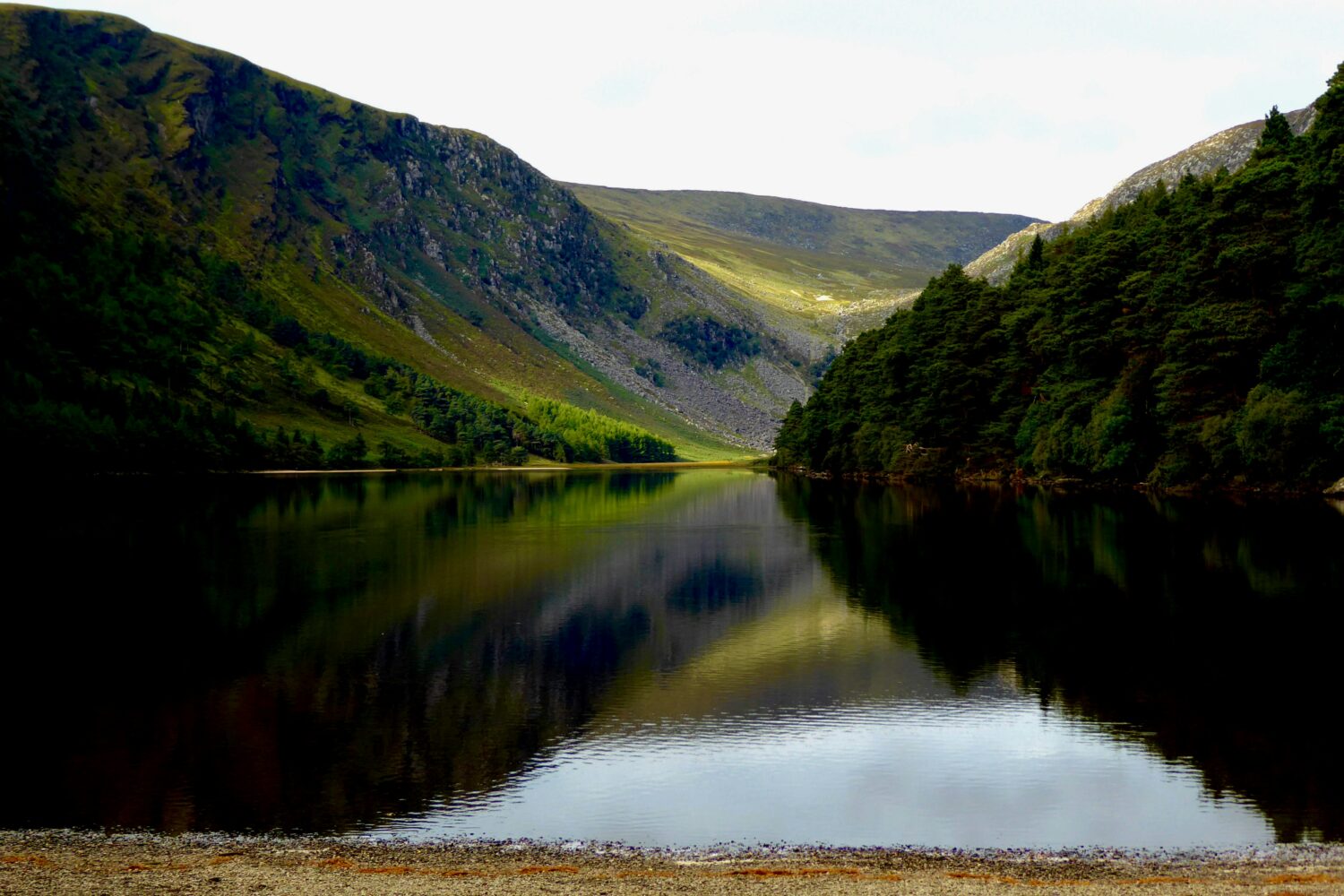 colin-c-murphy-tFbAZusVO4w-unsplash