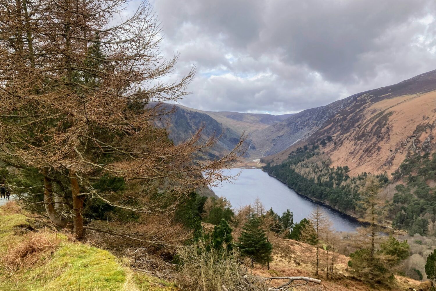 e-vos-fevPoSb33Uk-unsplash